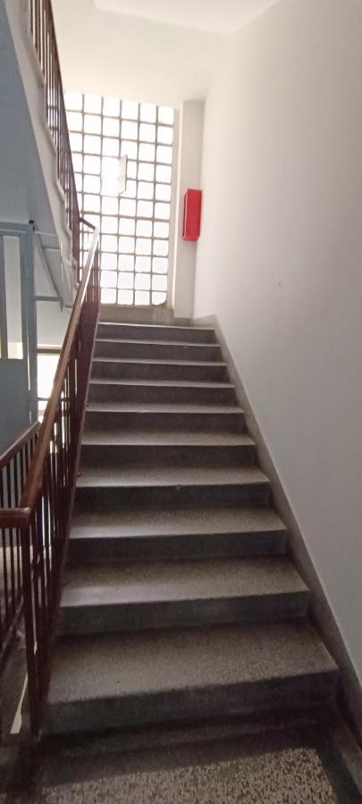 בלגרד Bohemian Apartment מראה חיצוני תמונה